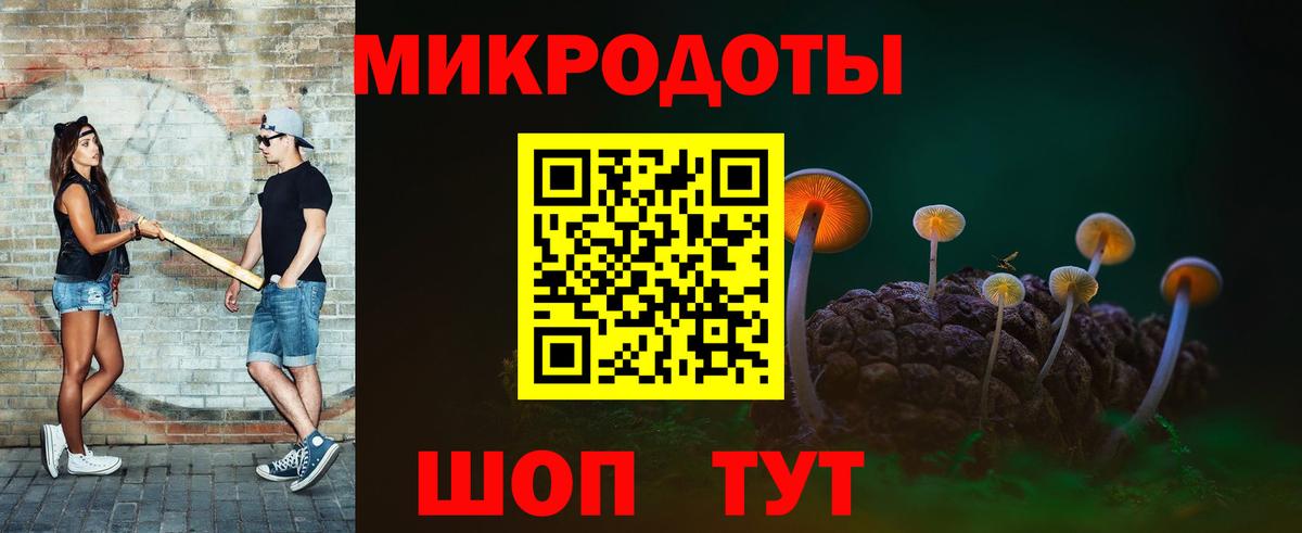 Галлюциногенные грибы Psilocybe Карабулак
