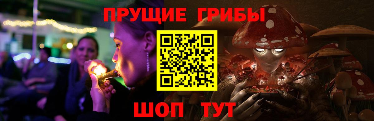 Псилоцибиновые грибы Psilocybine cubensis  магазин продажи   Карабулак  Вход с VPN  Псилоцибиновые грибы Cubensis 